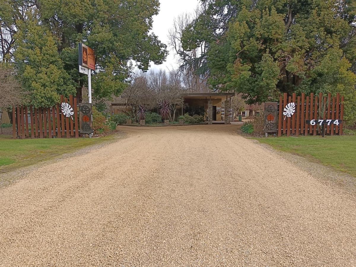 Buffalo Motel And Country Retreat Porepunkah Eksteriør billede